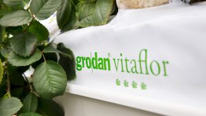 Grodan Vitaflor slabs for strawberries